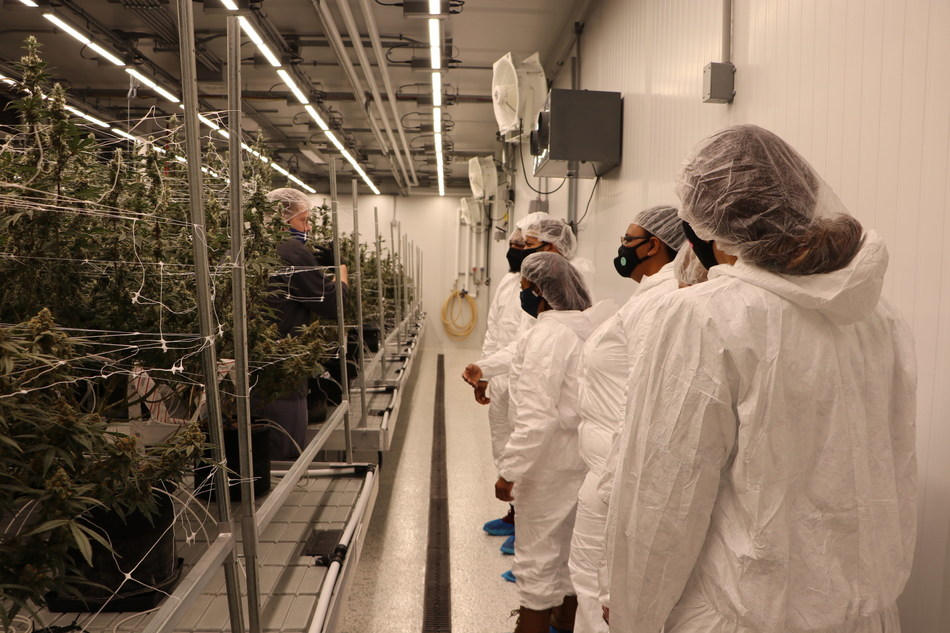 Cannabis Entrepreneurship Program Group in Grow Room